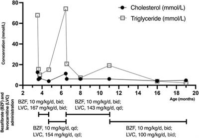 Case Report: Next-Generation Sequencing Identified a Novel Pair of Compound-Heterozygous Mutations of LPL Gene Causing Lipoprotein Lipase Deficiency